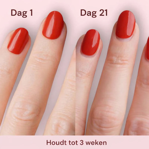 Voordeelpakket - 2+1 GRATIS